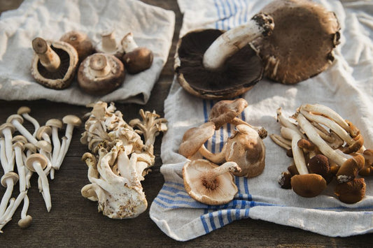 Adaptogenic Mushrooms: Nature's Answer to Modern Stressors